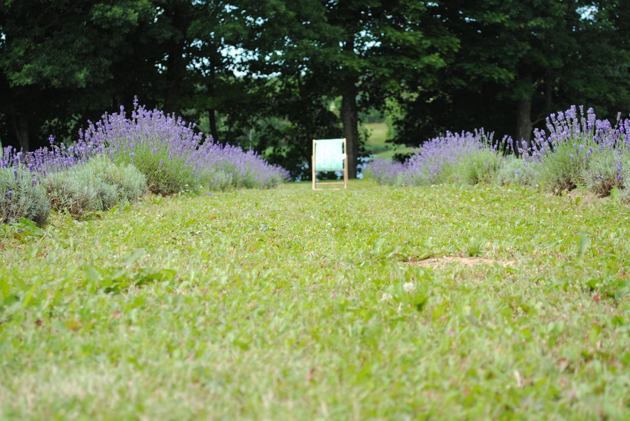 Lavender Village Kiemeliai Exteriér fotografie