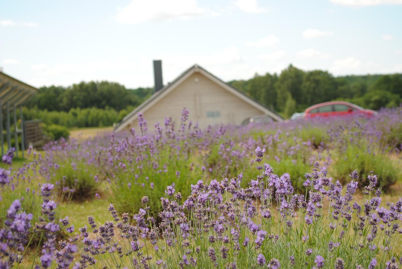 Lavender Village Kiemeliai Exteriér fotografie