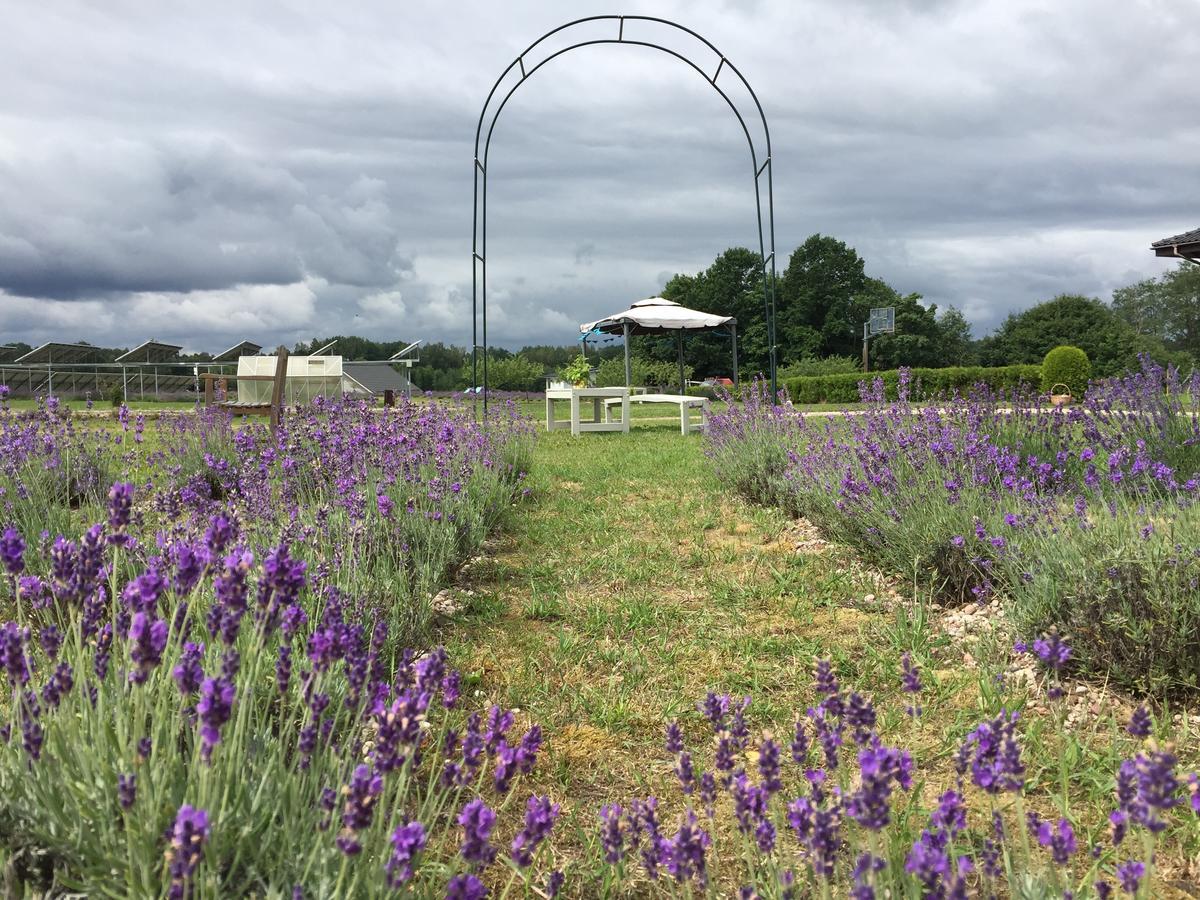 Lavender Village Kiemeliai Exteriér fotografie